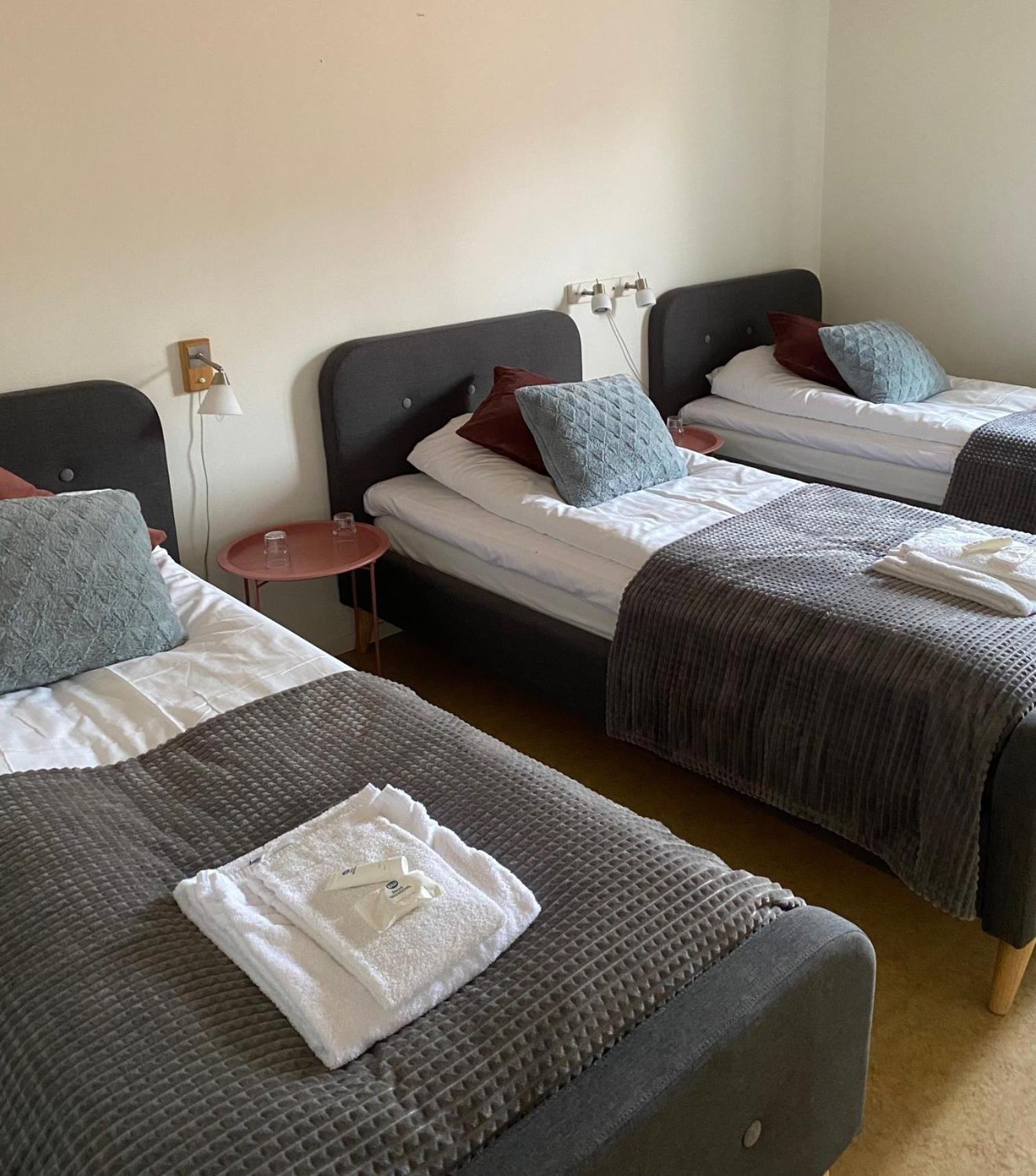 Snoea Bruk Hotell Och Konferens Dala-Jarna Экстерьер фото